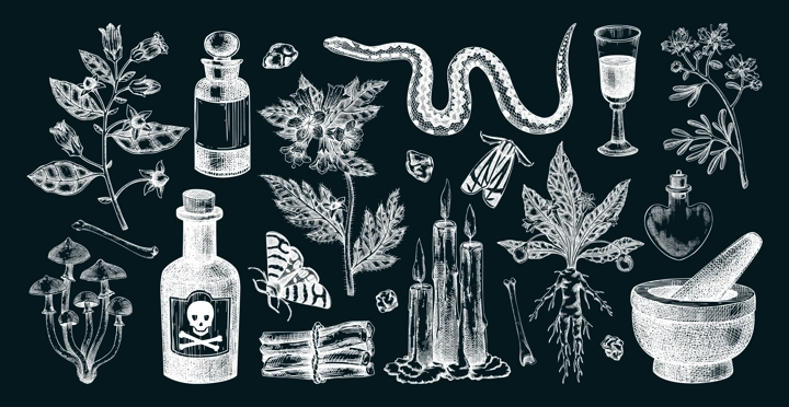 Witchcraft hand drawn vector illustrations. Bohemian design elements. Witch herbs, poisonous plants, magic ingredients sketches. NOT AI generated